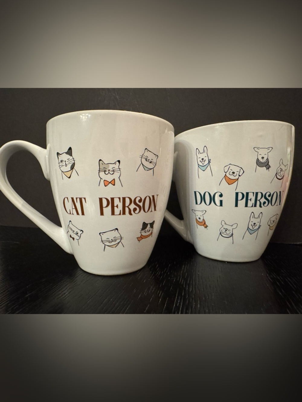 Pet People Ceramic Mugs - Cat Person (White/Orange) & Dog Person (White/Aqua)
